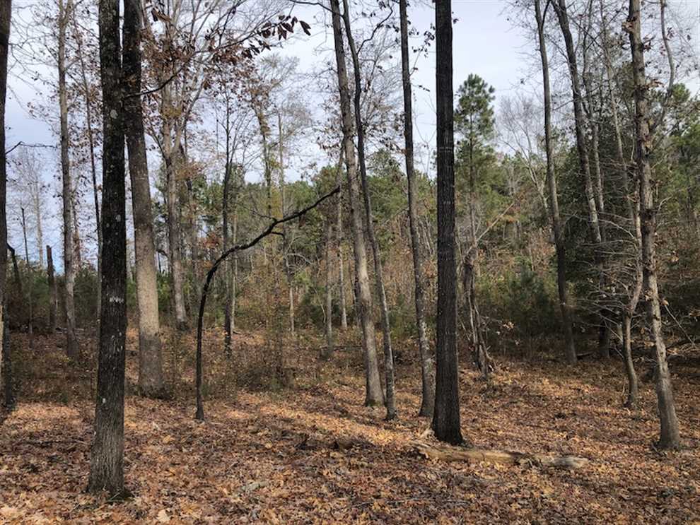 property for sale on The Land Market