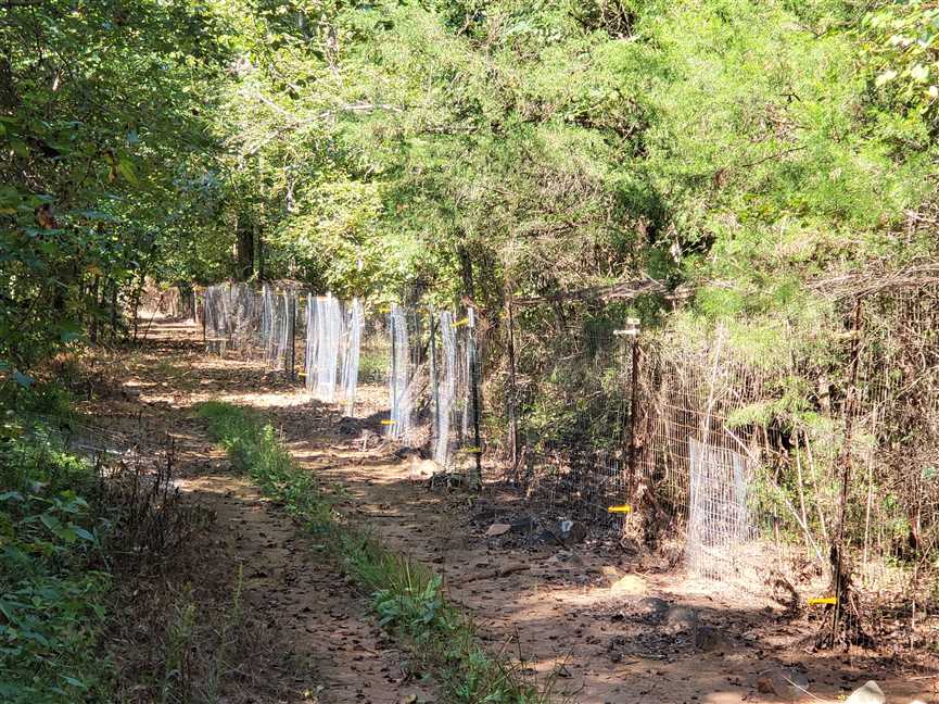 Houses and land for sale in South Carolina