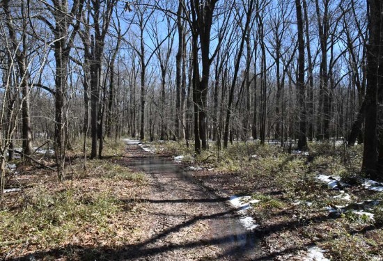 160 Acres of Land for Sale in faulkner County Arkansas
