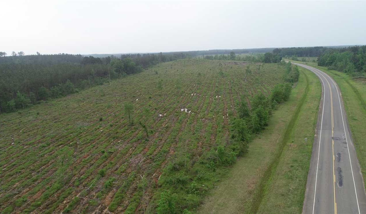 Brown Chestnut Tract, Natchitoches Parish, 36 Acres +/- Real estate listing