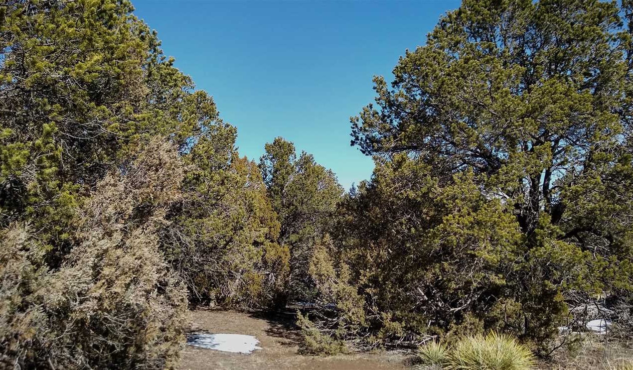 Aguilar land available for purchase