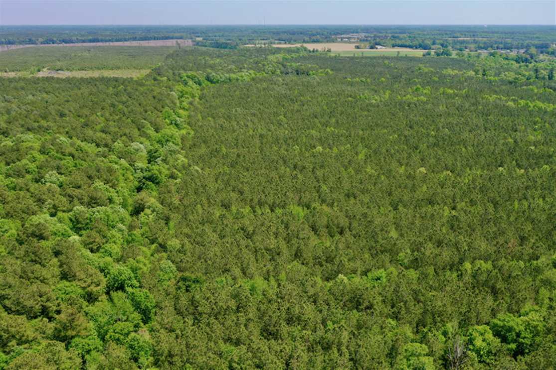 Recreational and   property for sale on The Land Market