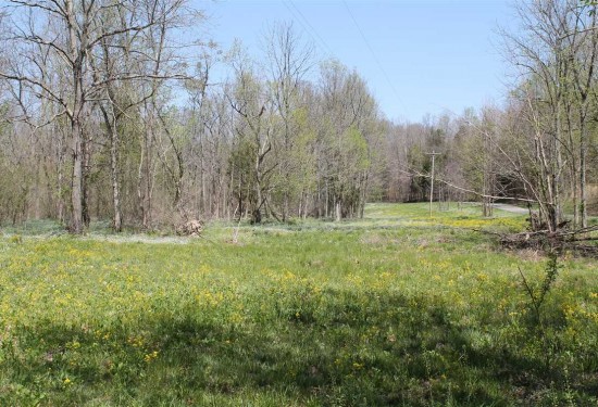 42.5 Acres of Land for Sale in macon County Tennessee