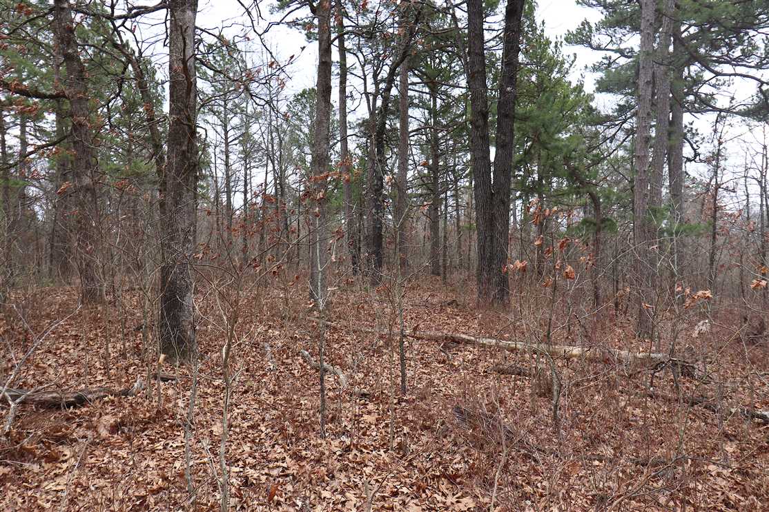 44.04 Acres of Recreational land for sale in Eureka Springs, carroll County, Arkansas