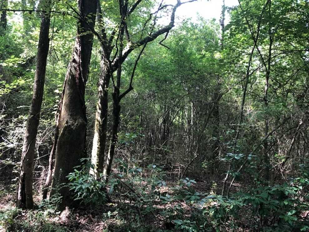 property for sale on The Land Market
