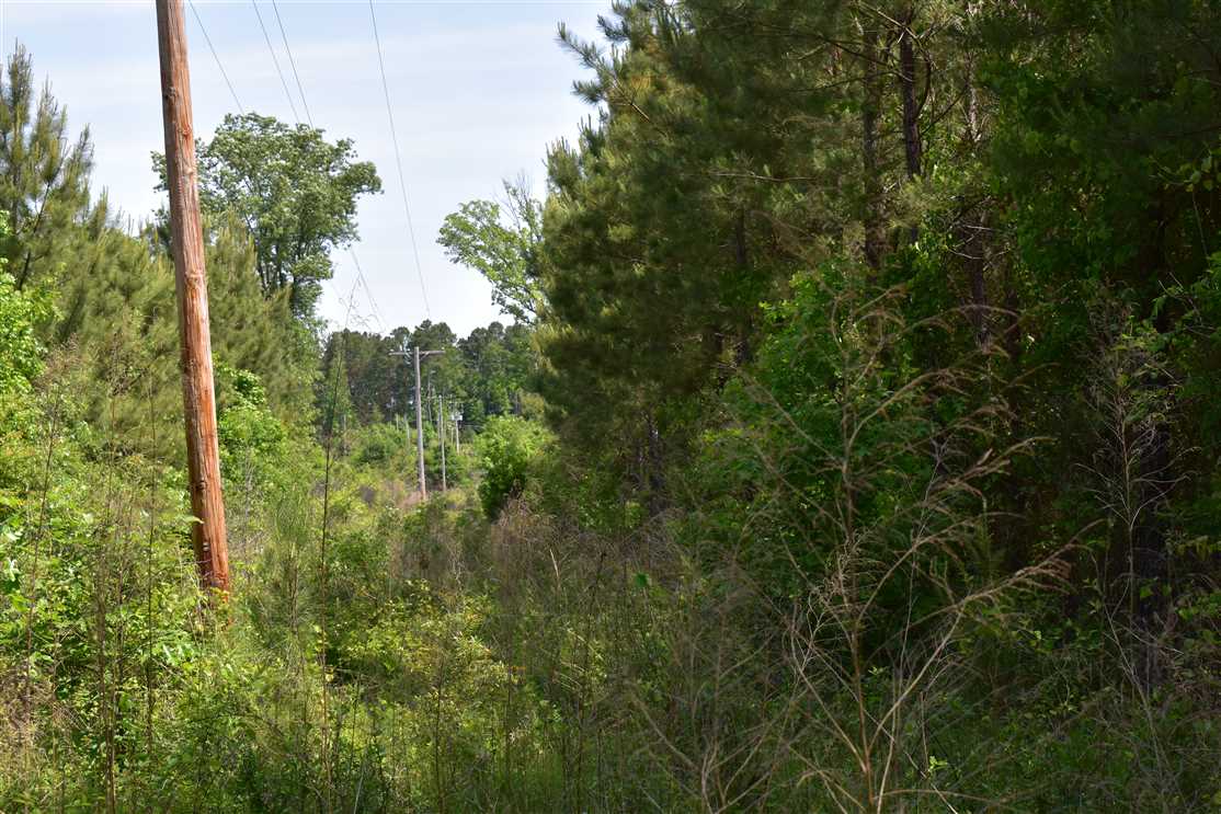 Land for sale to buy in 71857 zip code