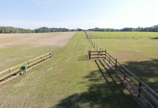 77.38 Acres of Land for Sale in madison County Florida