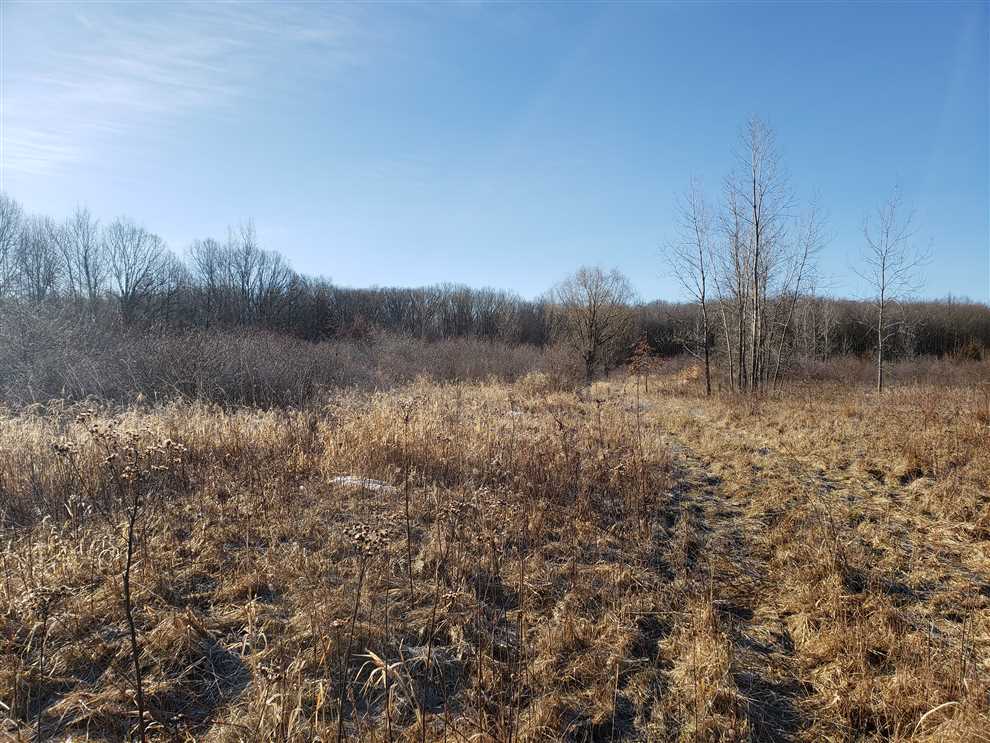 Land for sale to buy in 49038 zip code