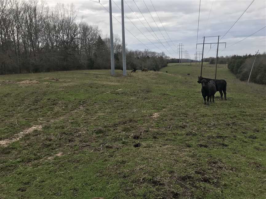 property for sale on The Land Market