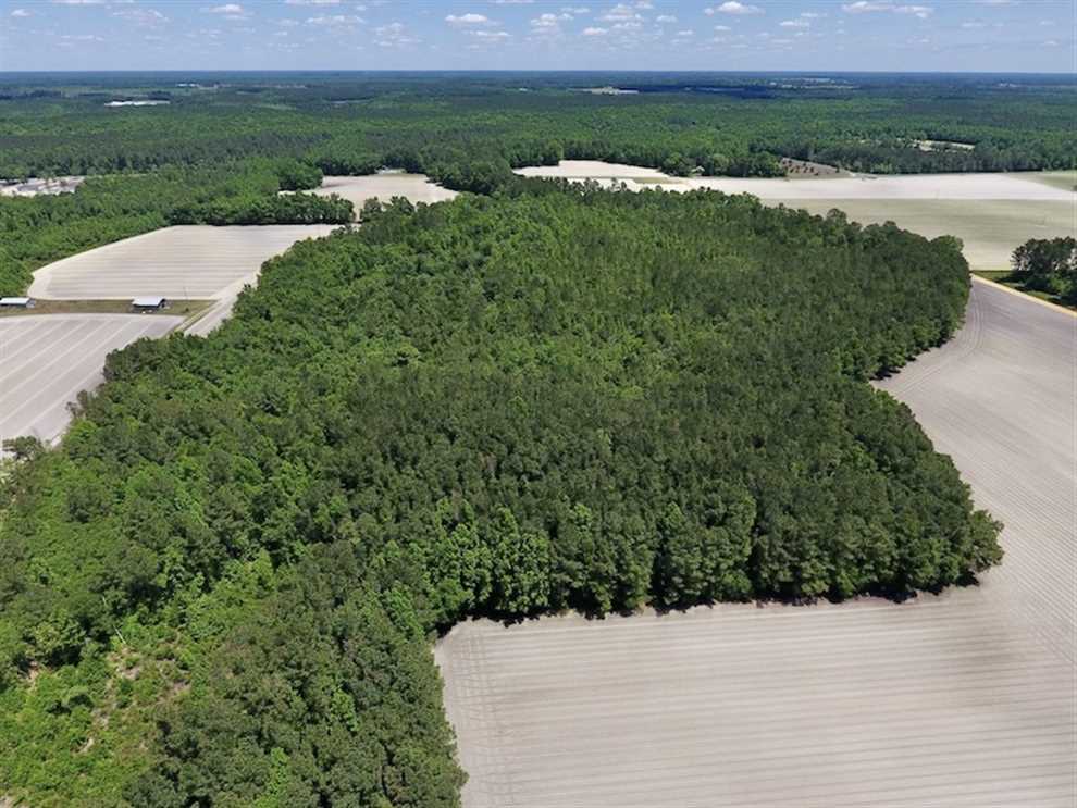 Land for sale at Off Highway 210