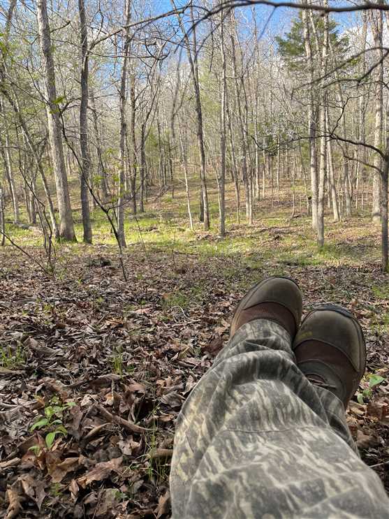 fulton County, Arkansas property for sale