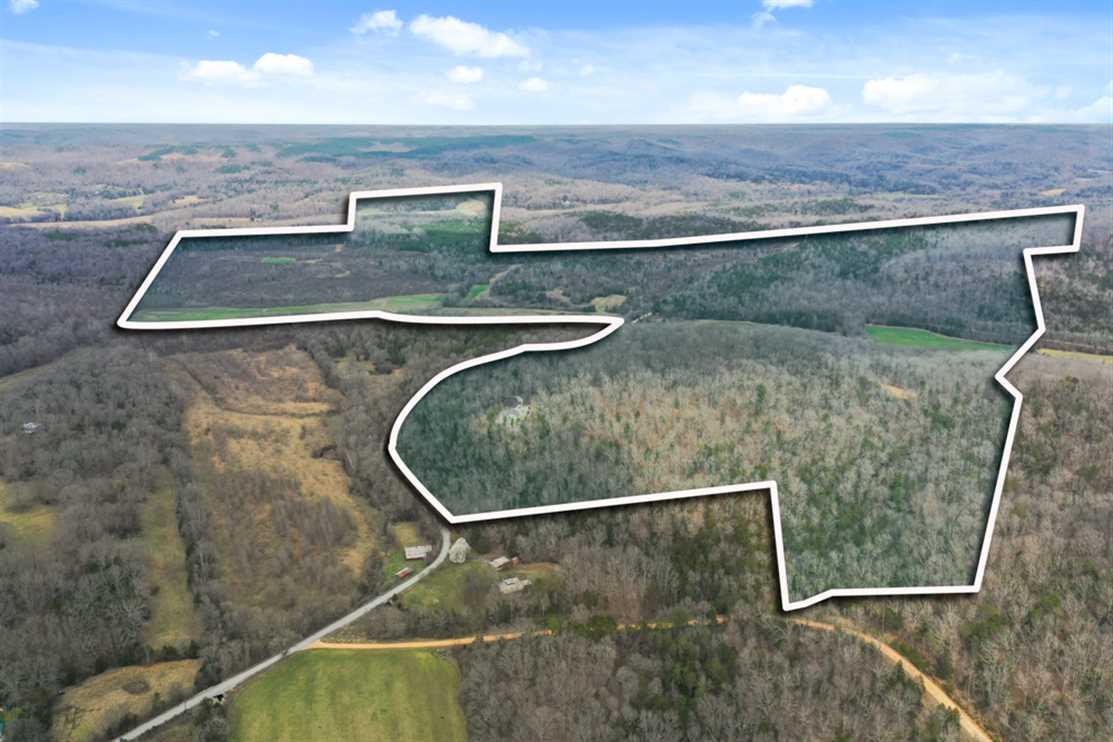 Residential land real estate to buy in wayne County TN