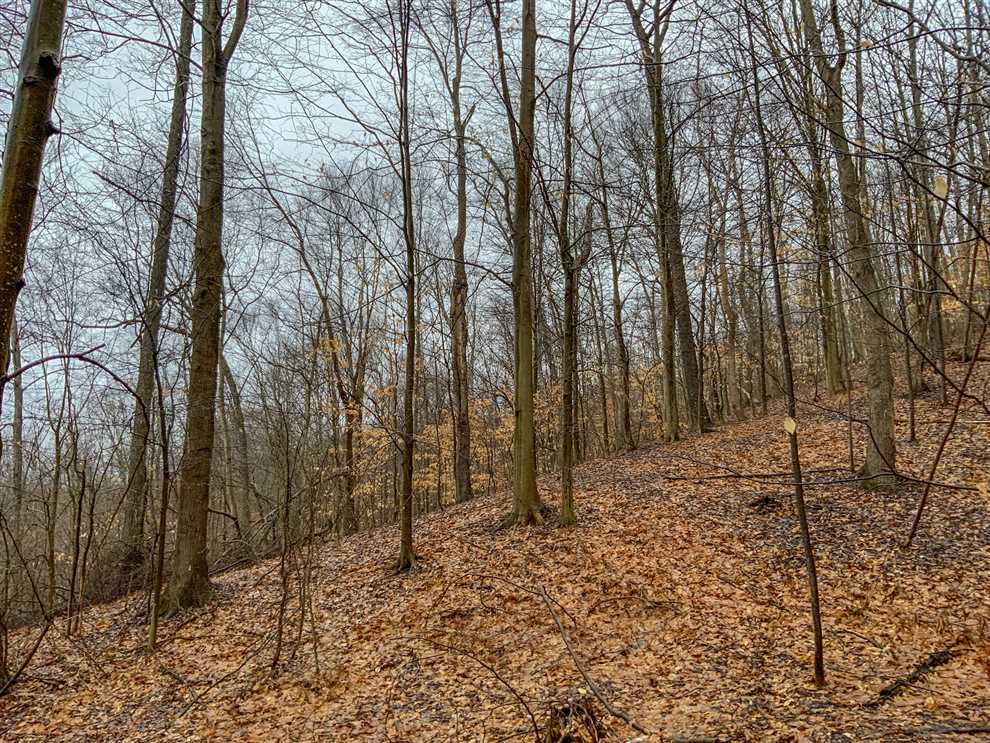 32.34 Acres of Recreational land for sale in PEEBLES, pike County, Ohio