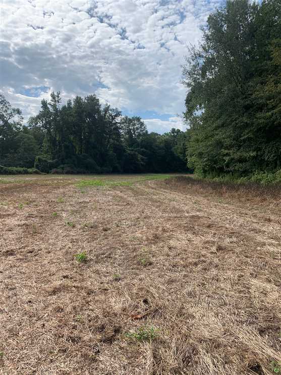 itawamba County, Mississippi property for sale