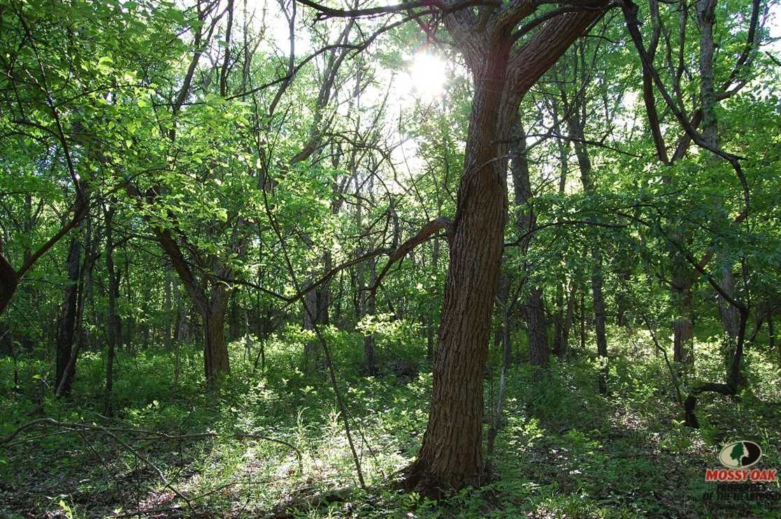 Houses and land for sale in Kansas