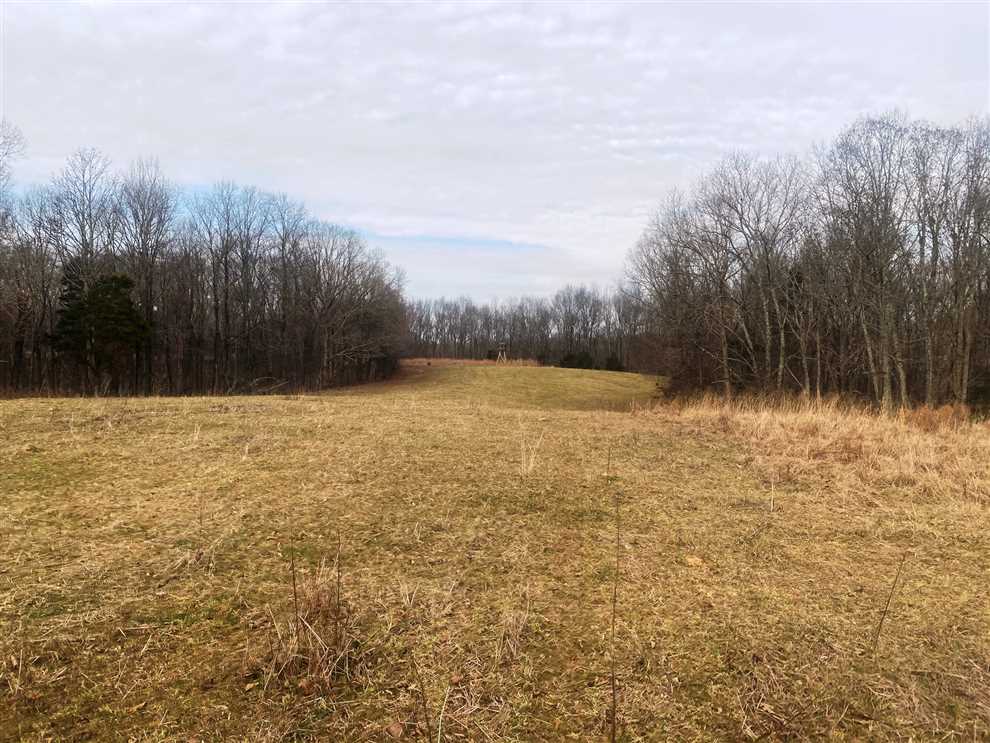 240 Acres of Residential land for sale in Minor Hill, giles County, Tennessee