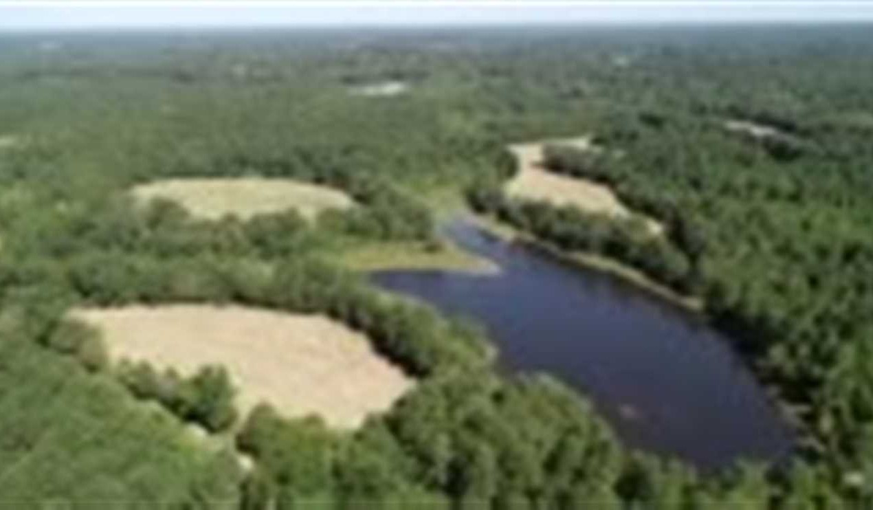 502 Acres of Land for Sale in itawamba County Mississippi