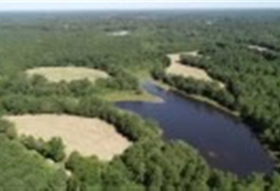 502 Acres of Land for Sale in itawamba County Mississippi