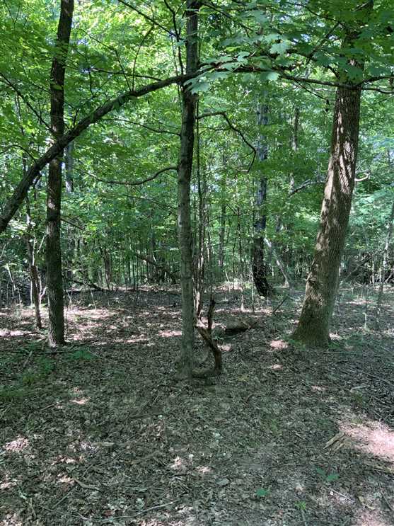 humphreys County, Tennessee property for sale