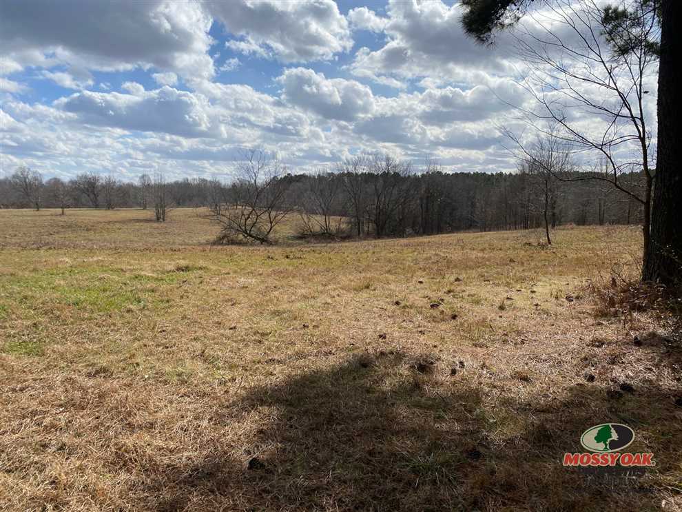 Land for sale at Blood River Road