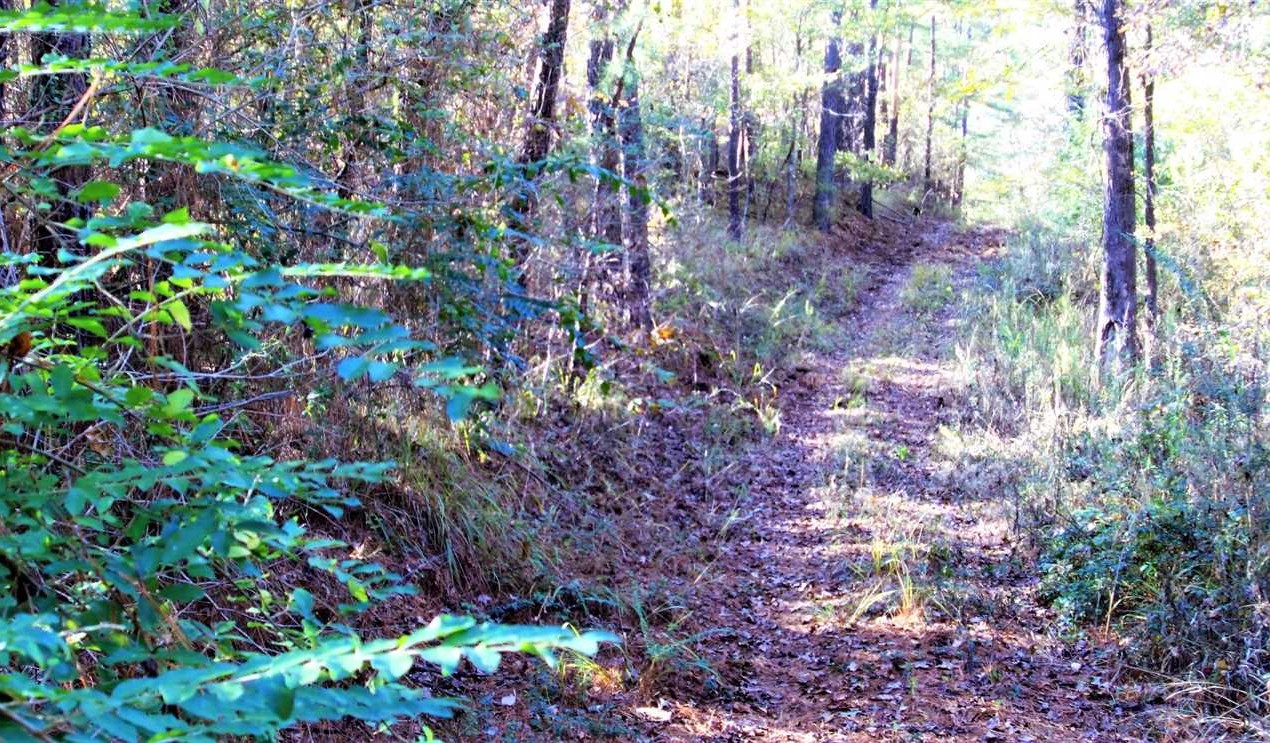Down Hole Hunting Tract, Bossier Parish, 283 Acres +/- Real estate listing