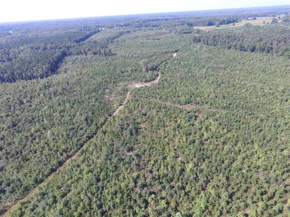 dinwiddie County, Virginia property for sale