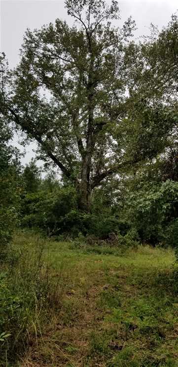 winn County, Louisiana property for sale