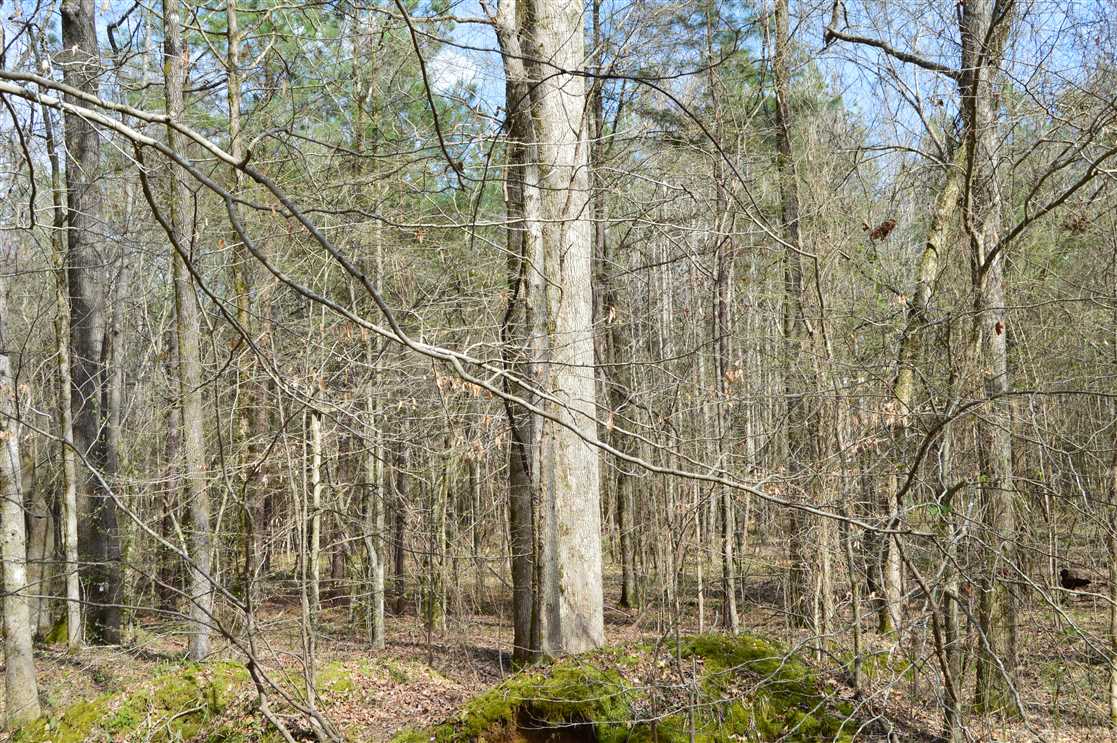 Land for sale to buy in 39176 zip code