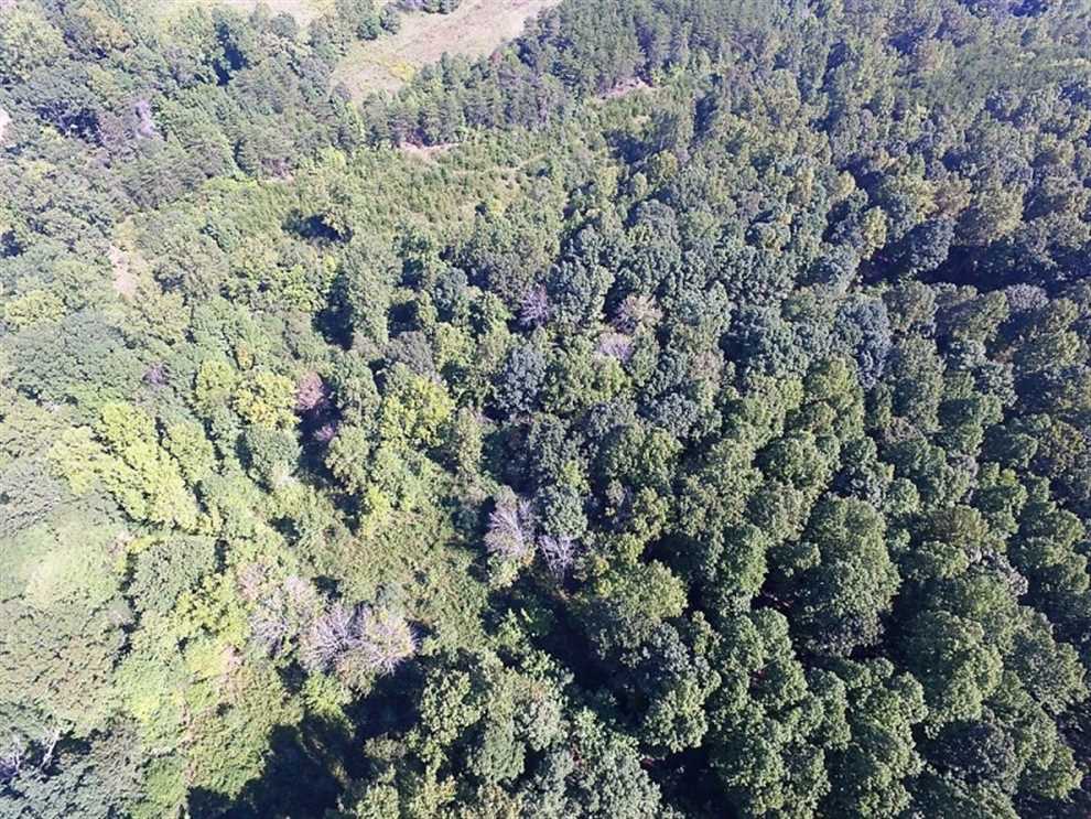 property for sale on The Land Market
