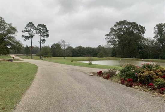 7 Acres of Land for Sale in pontotoc County Mississippi