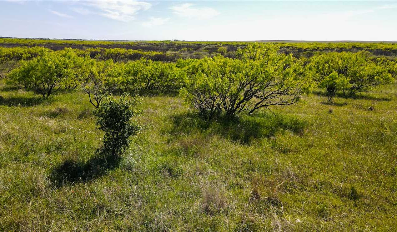 Residential and   property for sale on The Land Market
