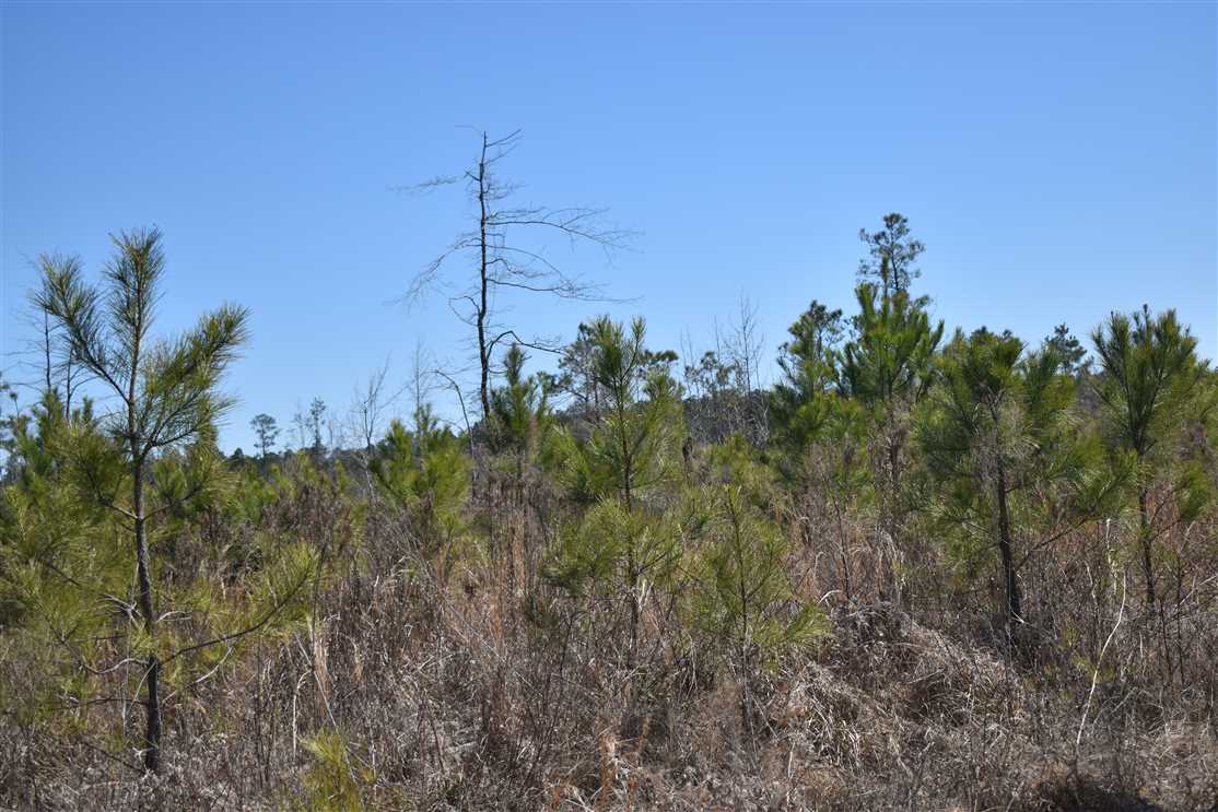 property for sale on The Land Market