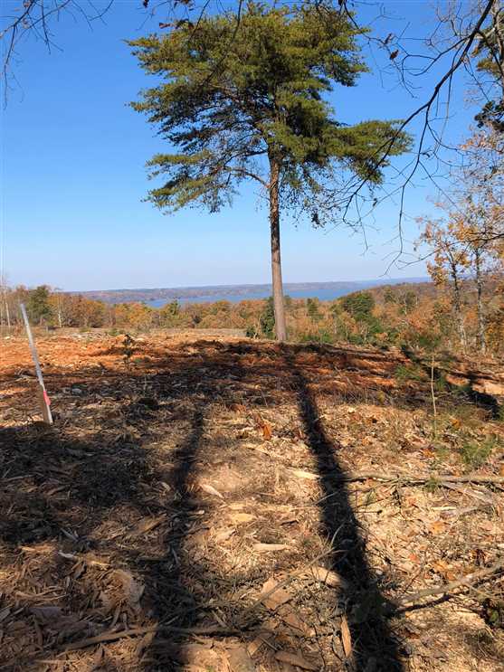 9.82 Acres of Residential land for sale in Waverly, humphreys County, Tennessee