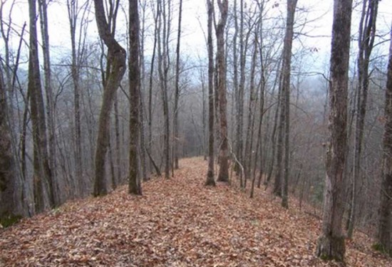 17.39 Acres of Land for Sale in graham County North Carolina