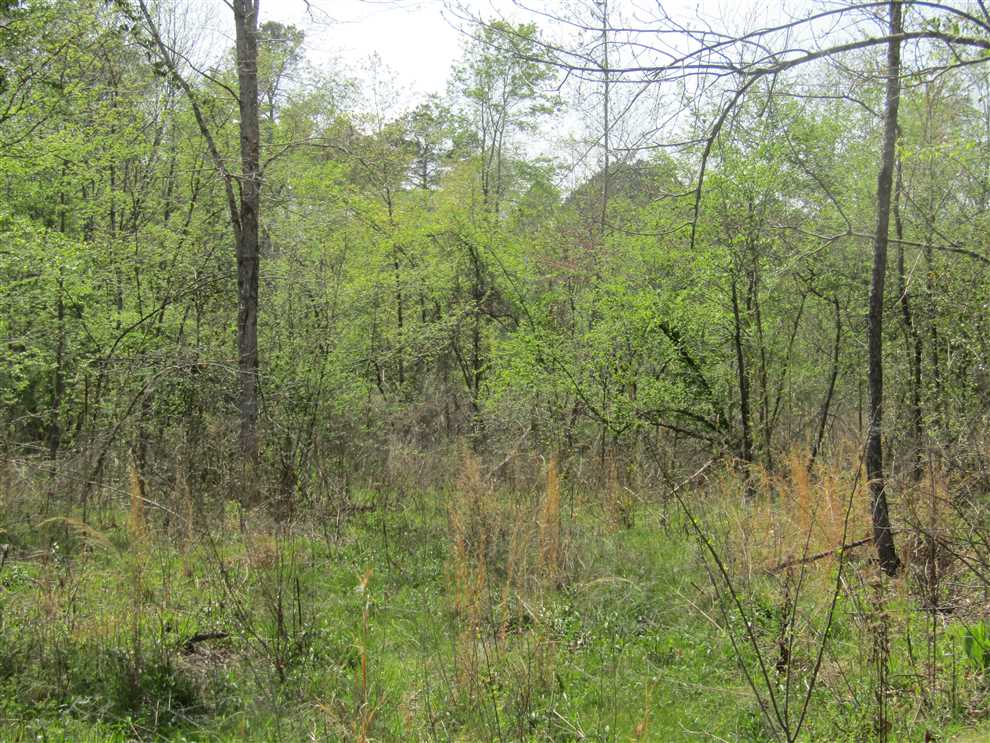 property for sale on The Land Market