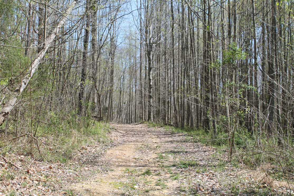 macon County, Tennessee property for sale