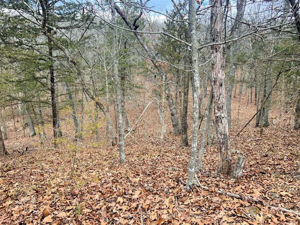 17 Acres of Residential land for sale in Elkins, washington County, Arkansas