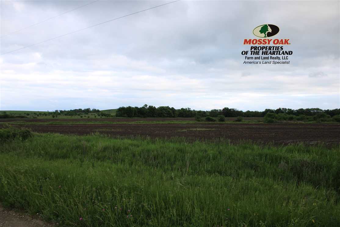 Property for sale at