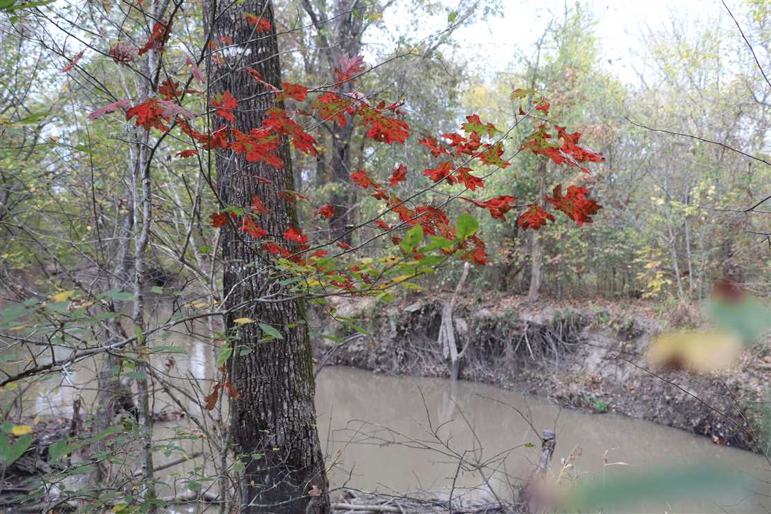 739 Acres of Land for sale in hopkins County, Texas