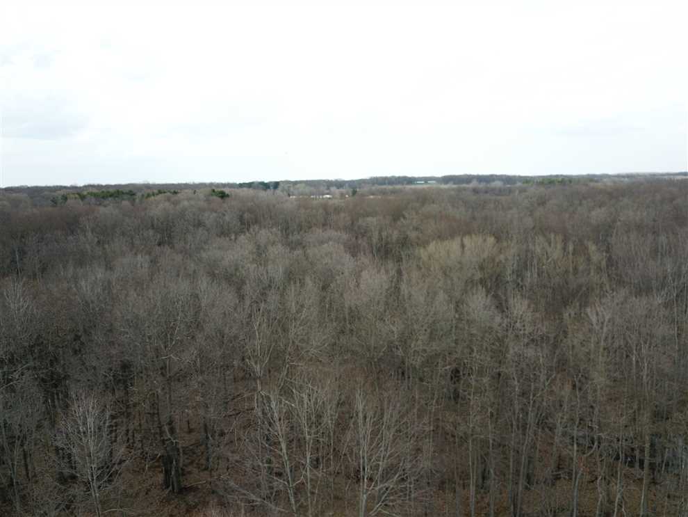 56.6 Acres of Land for sale in eaton County, Michigan