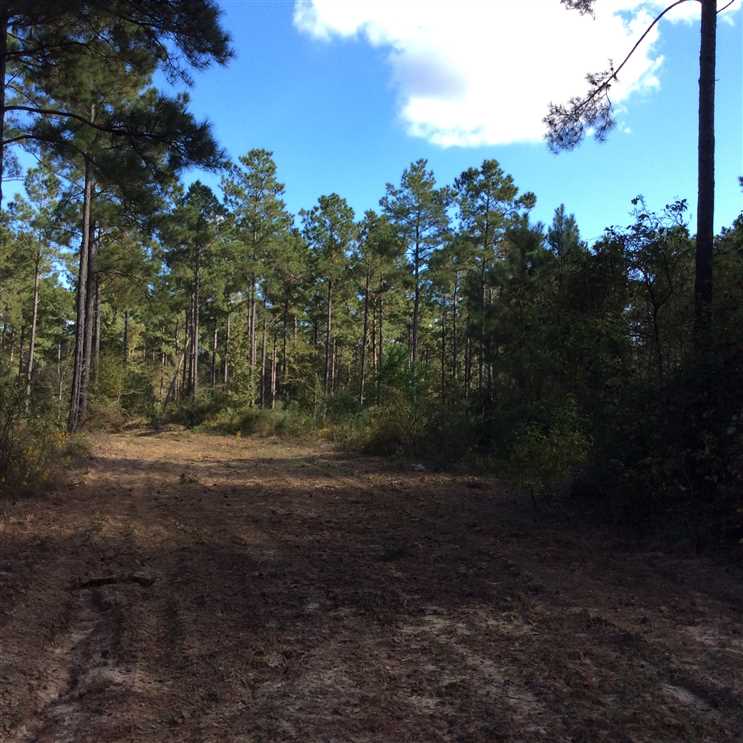 Land for sale to buy in 71418 zip code