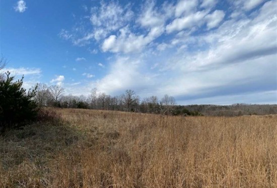 20.33 Acres of Land for Sale in van buren County Tennessee