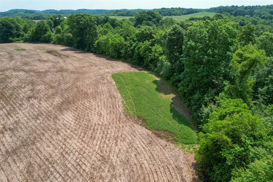 White Eyes Rd - 74 acres - Muskingum County Real estate listing