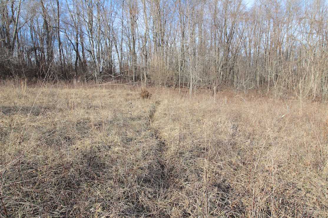 10.87 Acres of Land for sale in guernsey County, Ohio