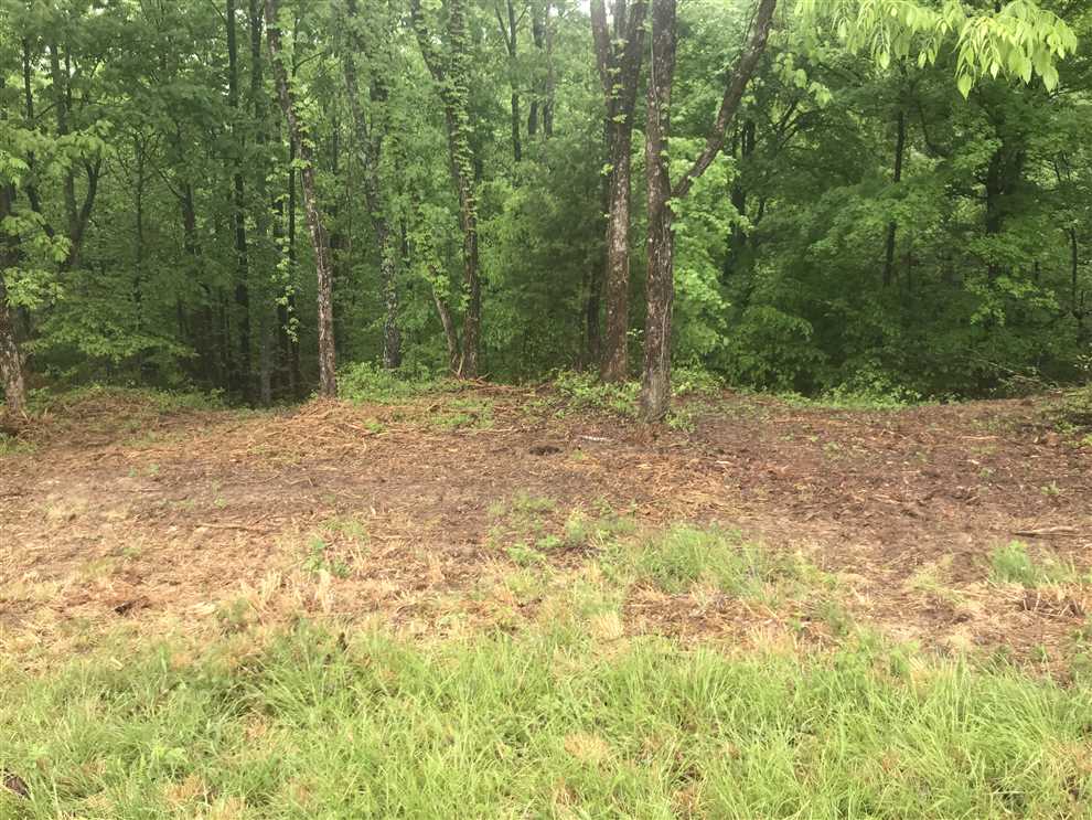 Land for sale to buy in 37185 zip code