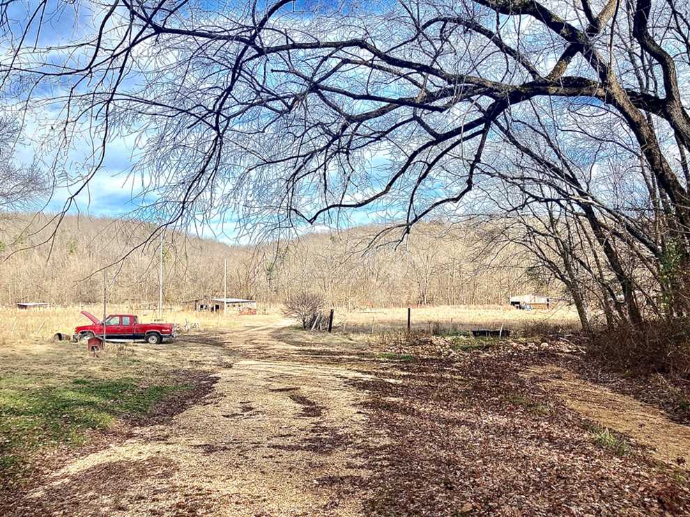 Land for sale to buy in 63638 zip code