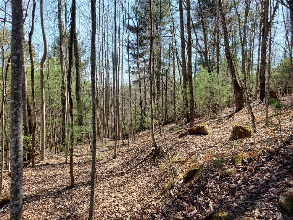 Land for sale at near 5593 Parkview Road