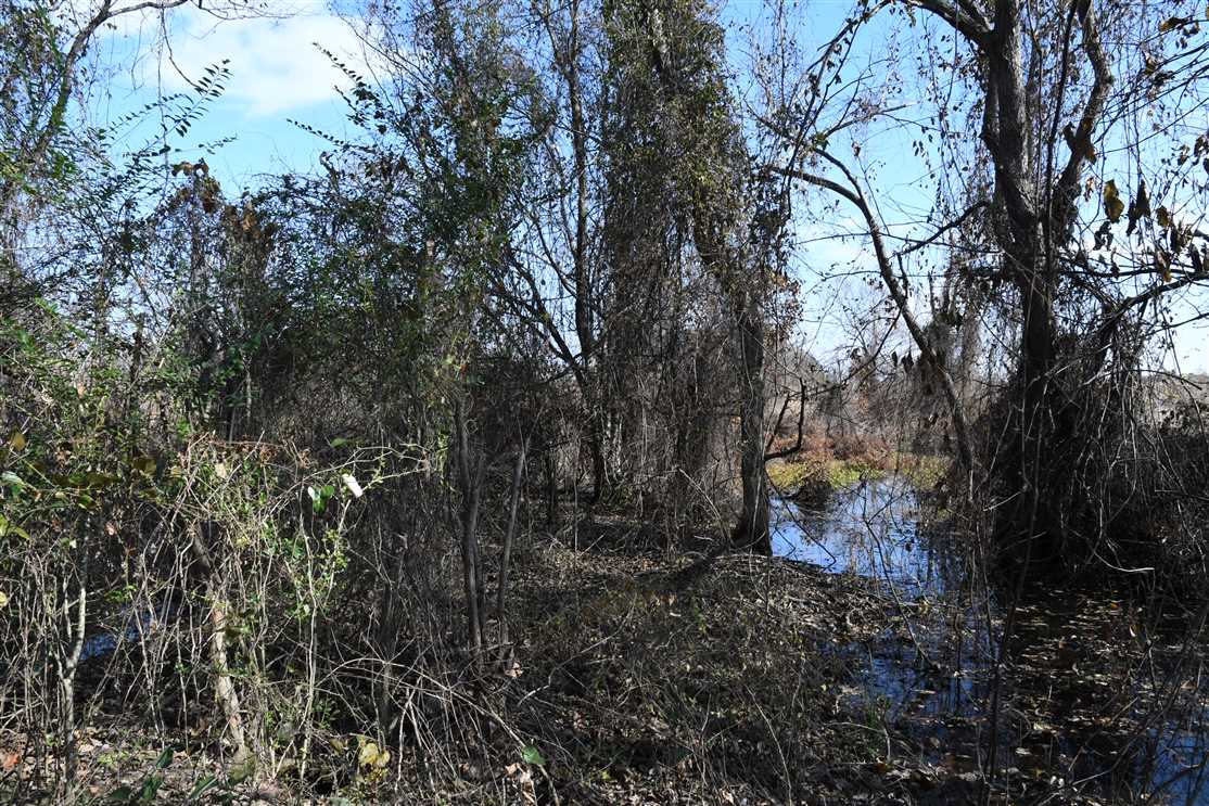 Land for sale to buy in 72069 zip code