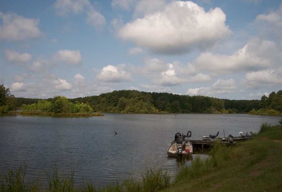 2253 Acres of Land for Sale in jefferson County Mississippi