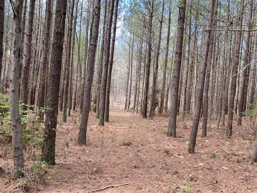 Houses and land for sale in Tennessee